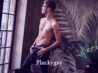 Pluckygay
