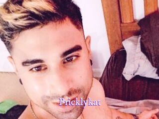 Pricklykat