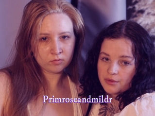 primroseandmildr Super Webcam