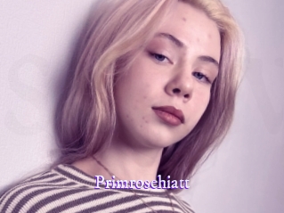 Primrosehiatt