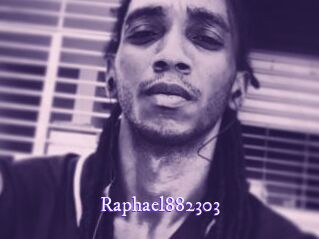 Raphael882303