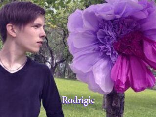 Rodrigie