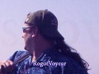 RogueVoyeur