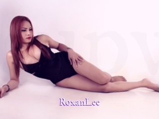 RoxanLee Super Webcam
