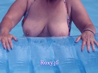 roxy36 Super Webcam
