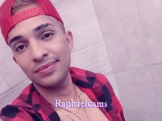 raphaelcams Super Webcam