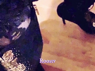 roostv Super Webcam