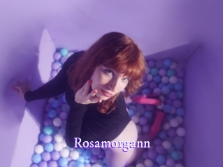 rosamorgann Super Webcam