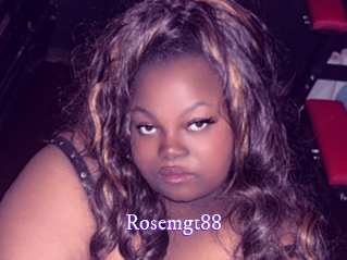rosemgt88 Super Webcam