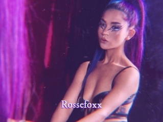 rossefoxx Super Webcam