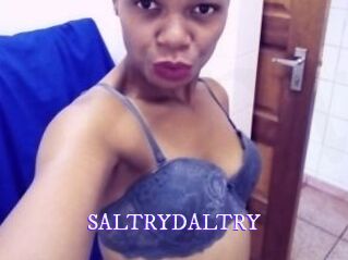 SALTRYDALTRY Super Webcam