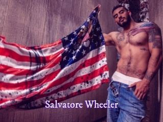Salvatore_Wheeler Super Webcam