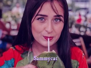 Sammycat
