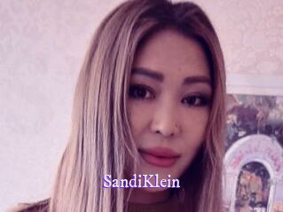 SandiKlein