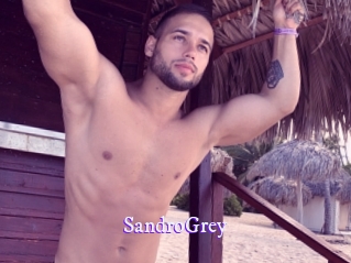 SandroGrey Super Webcam