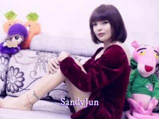 SandyJun Super Webcam
