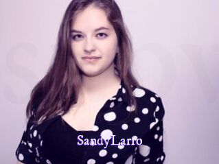 SandyLarro Super Webcam