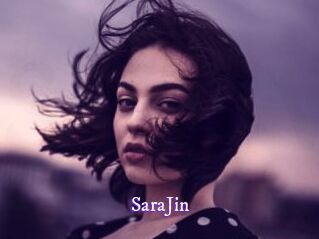 SaraJin Super Webcam