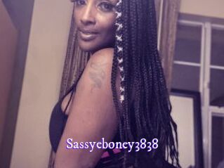 Sassyeboney3838