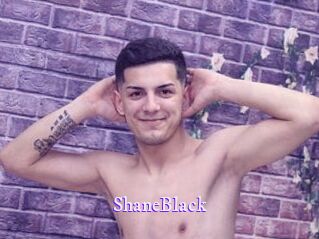 ShaneBlack