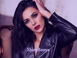 ShineBonya Super Webcam