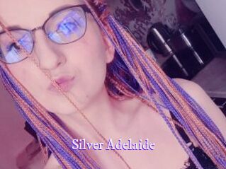 Silver_Adelaide Super Webcam