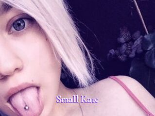 Small_Kate Super Webcam