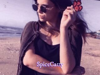SpiceCatty