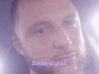 Stroke_of_penis