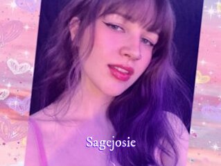 sagejosie Super Webcam