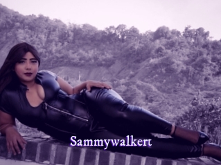 sammywalkert Super Webcam