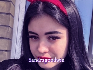 sandragoodwin Super Webcam