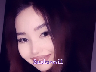 sandravevill Super Webcam
