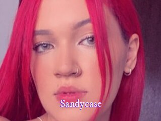 Sandycase