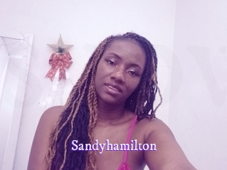 sandyhamilton Super Webcam