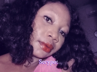 Secypot