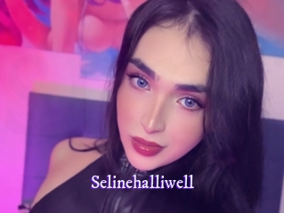 selinehalliwell Super Webcam