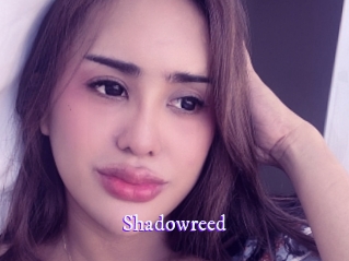 shadowreed Super Webcam