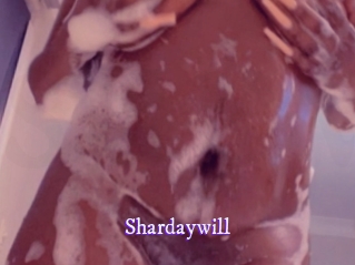 shardaywill Super Webcam