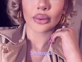shebetripn Super Webcam