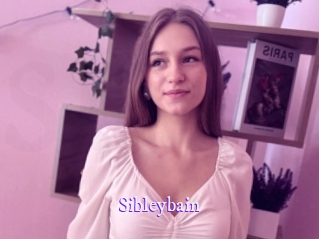 sibleybain Super Webcam