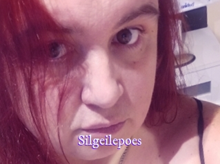silgeilepoes Super Webcam