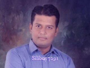 Siliboy7291