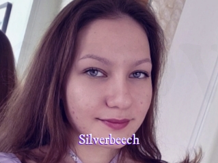 silverbeech Super Webcam