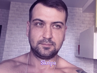 Skripa
