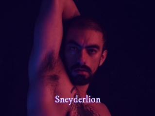 sneyderlion Super Webcam