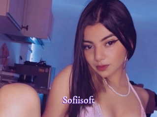 sofiisoft Super Webcam