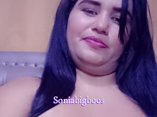 soniabigboos Super Webcam