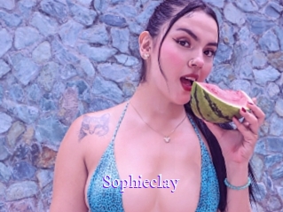 sophieclay Super Webcam