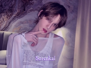 sorenkai Super Webcam